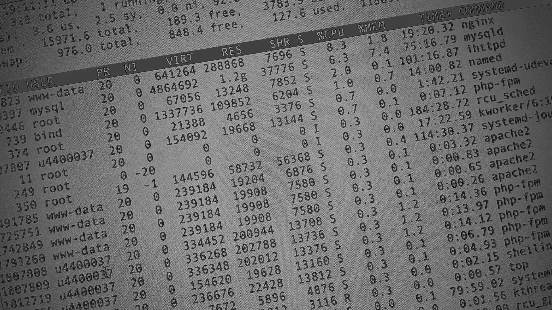 Настройка сервера в Ивангороде Настройка сервера в Ивангороде